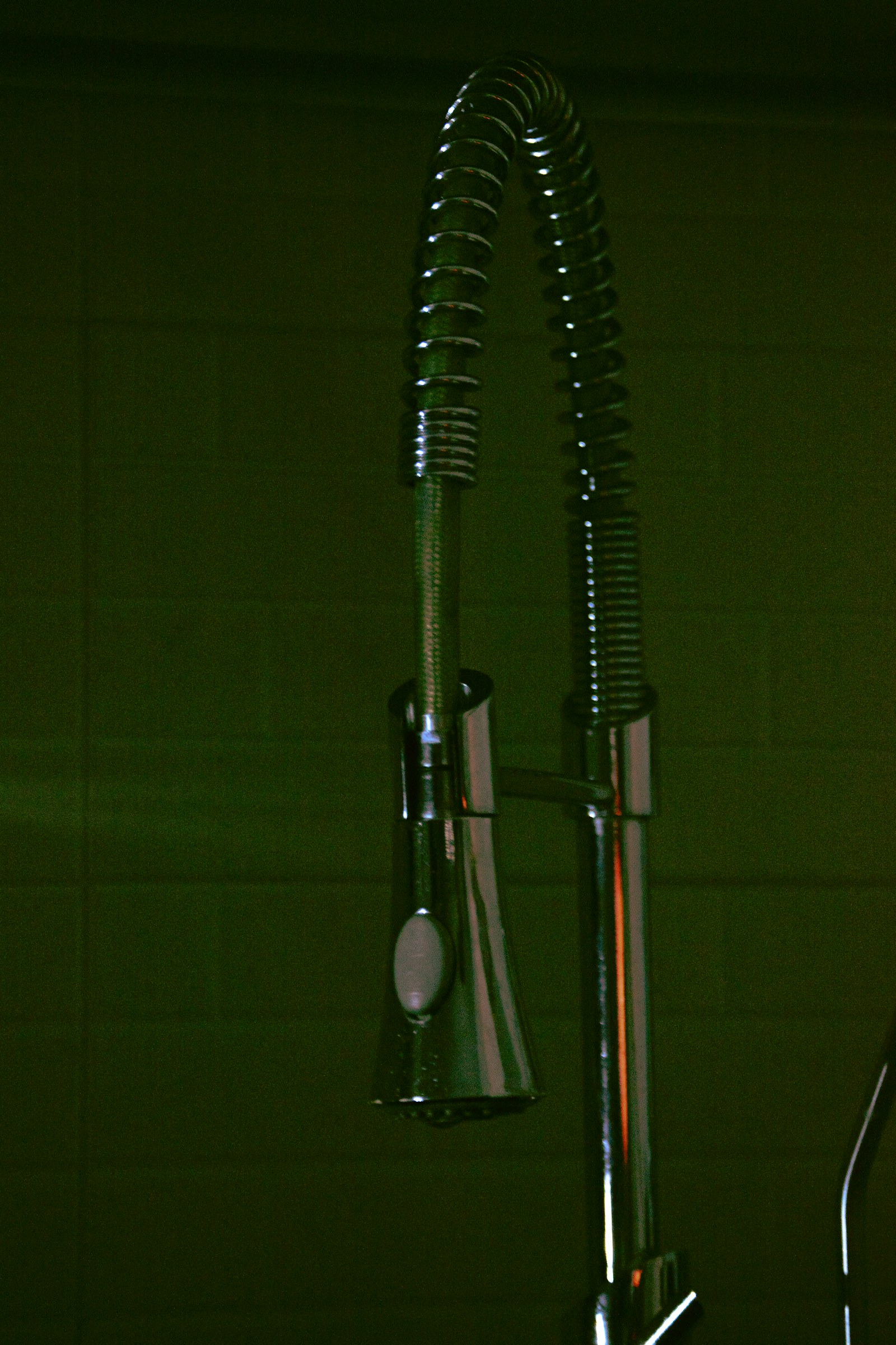 A close view of a handheld shower fixture and its metal hose